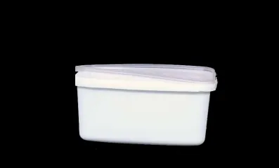 800 ML OVEL CONTAINER
